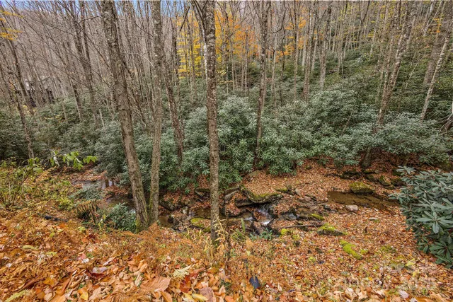 a view of a yard with plants and wooden fence