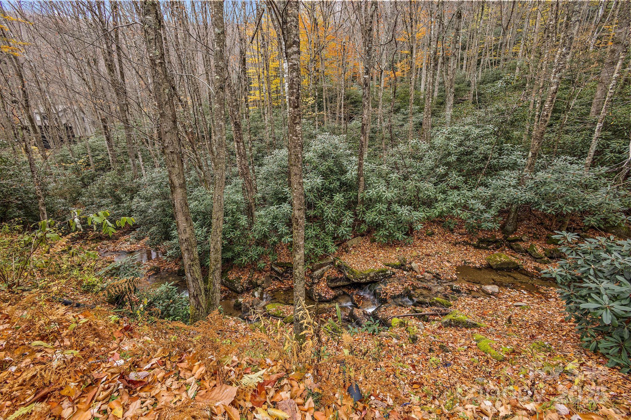 133 Buckeye Ridge Road Beech Mountain, NC 28604 - Photo 36 of 45 a view of a yard with plants and wooden fence