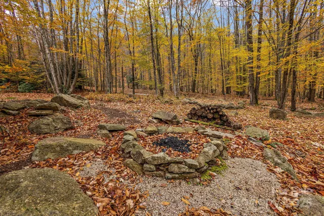 a view of a yard with trees