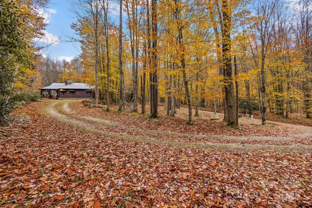 a view of yard with trees