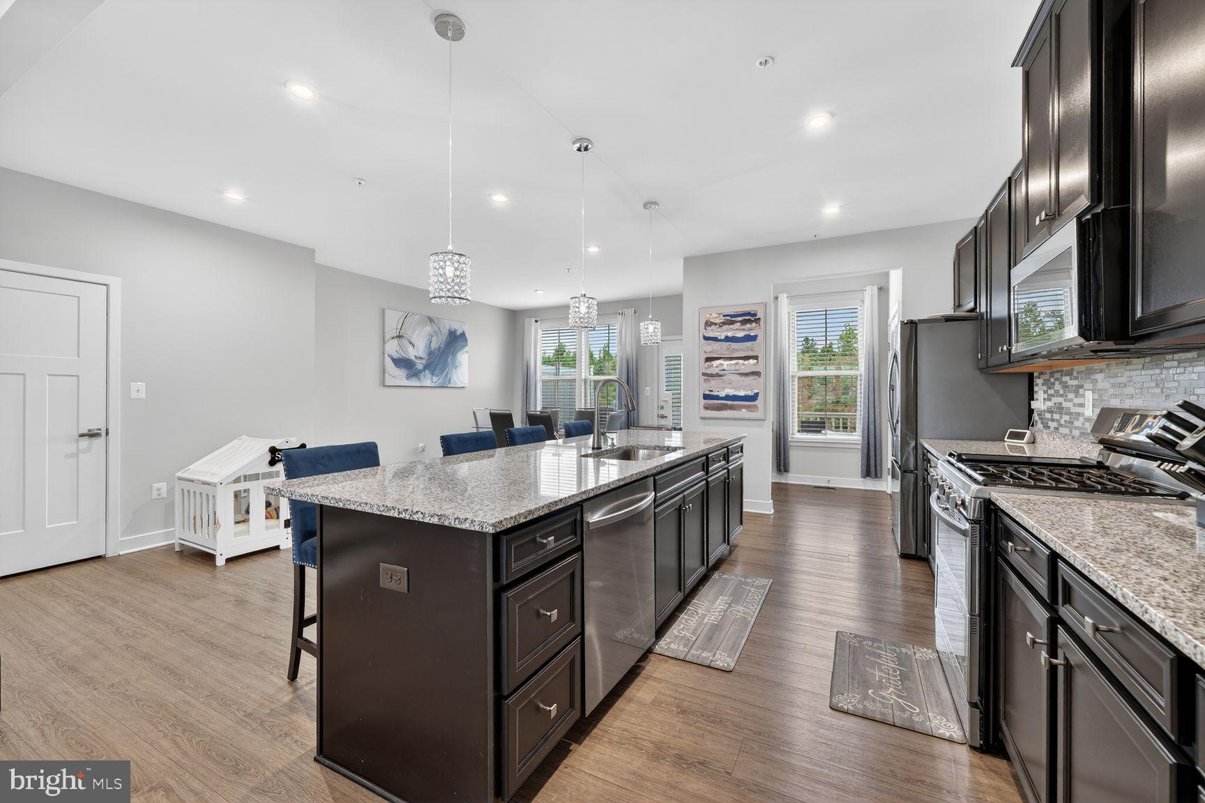 14963 Ring House Road, Unit D Brandywine, MD 20613 - Photo 10 of 31 DRAMATICALLY PICTURESQUE GRANITE COUNTER TOPS