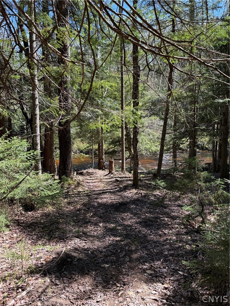 Lot # Meekerville Road Forestport, NY 13338 - Photo 24 of 45