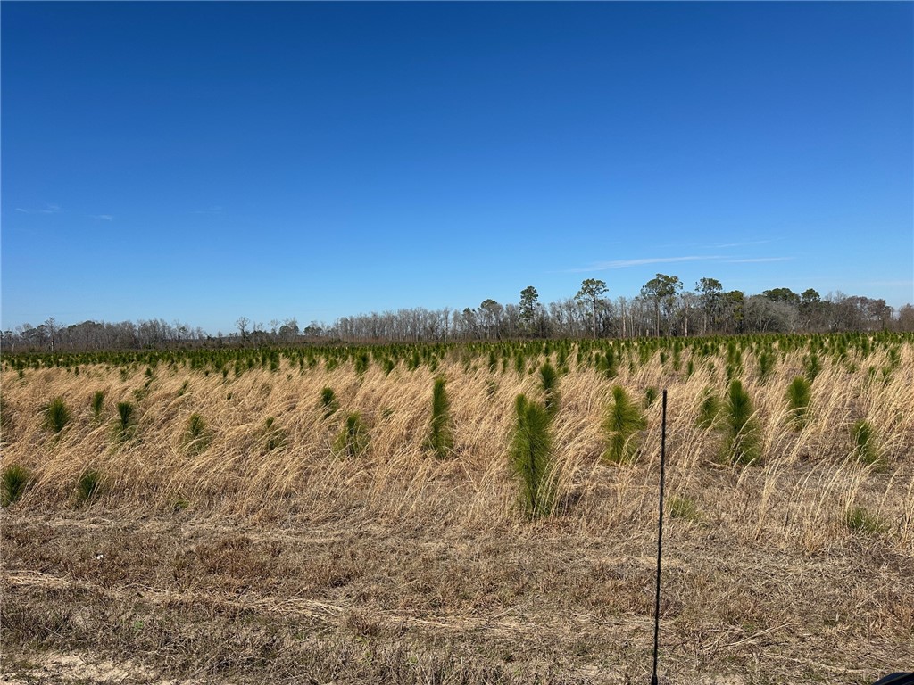 10 Sellers Road Northwest Baxley, GA 31513 - Photo 10 of 10