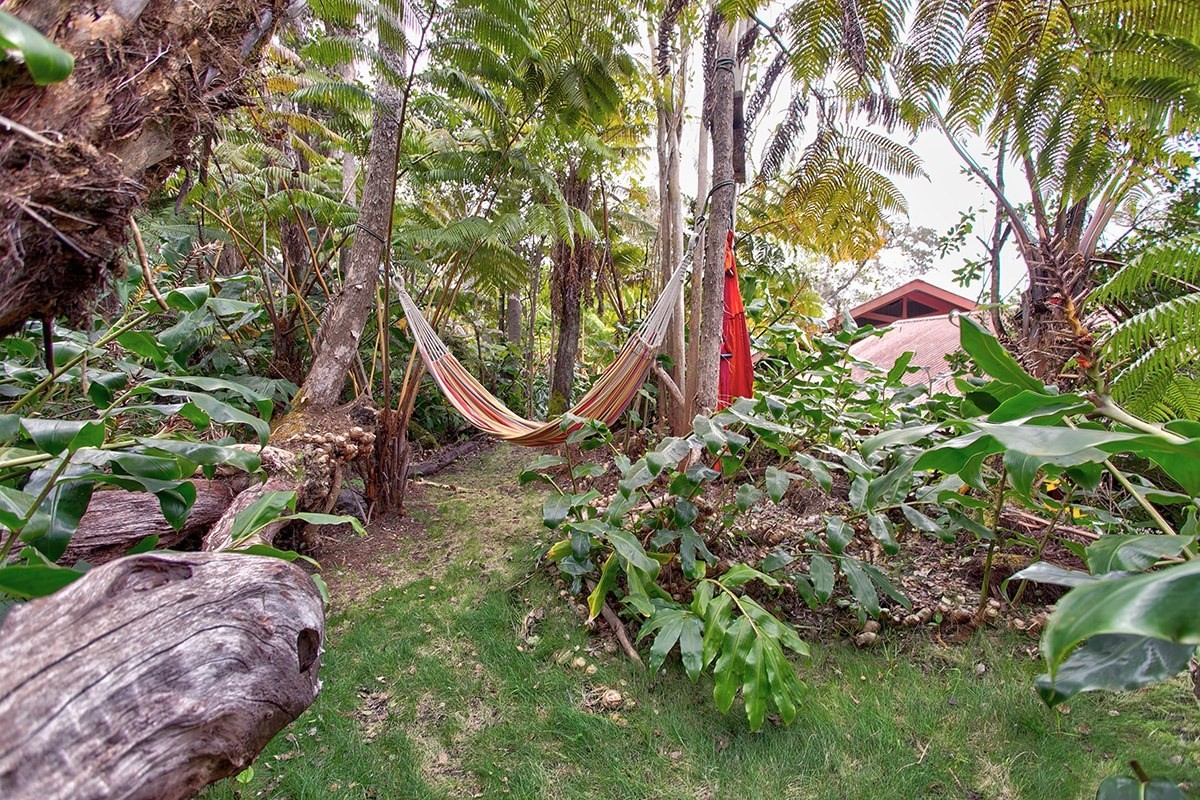 19-4242 Wright Road Volcano, HI 96785 - Photo 28 of 30 a view of outdoor space and garden