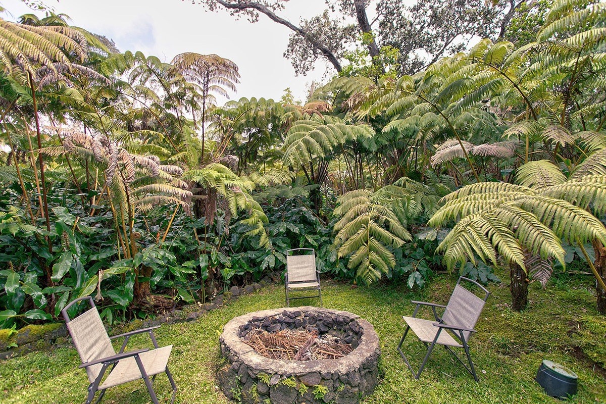 19-4242 Wright Road Volcano, HI 96785 - Photo 30 of 30 a chairs and table in a backyard