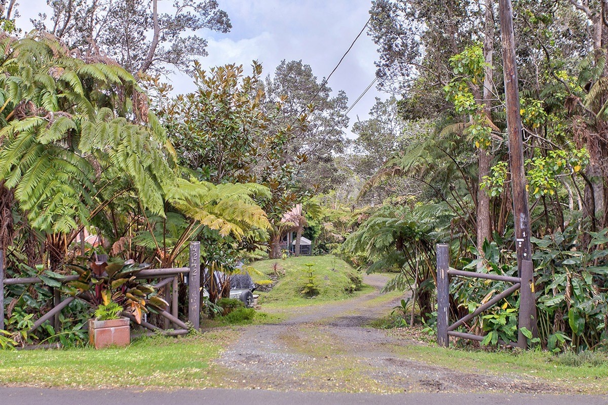 19-4242 Wright Road Volcano, HI 96785 - Photo 7 of 30 a view of a park with large trees