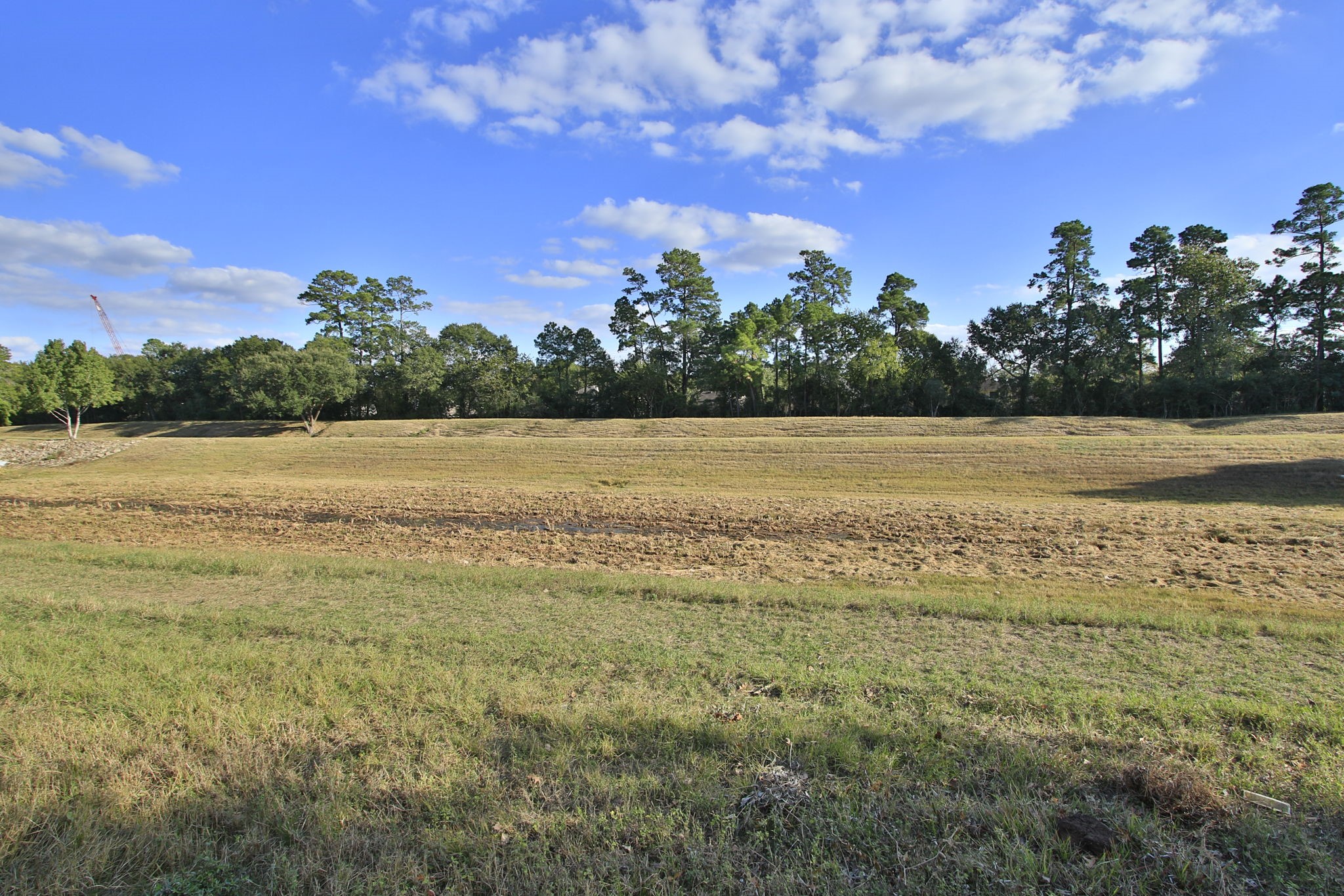 9203 Memorial Pines Way Spring, TX 77379 - Photo 45 of 45 This photo shows the spacious, grassy easement behind the home providing great privacy to this home.