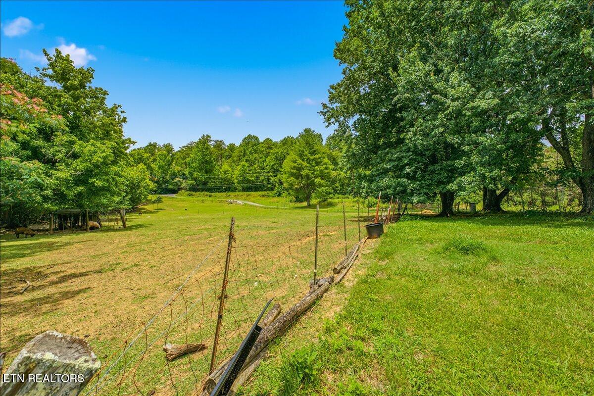 249 Old Cades Cove Road Townsend, TN 37882 - Photo 21 of 30 Exterior