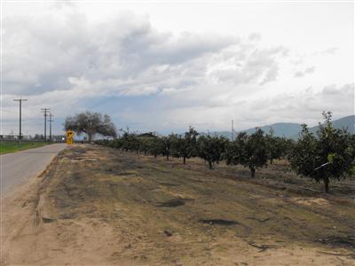 6018 Holbrook Avenue Reedley, CA 93654 - Photo 25 of 33 Gallery Image 25