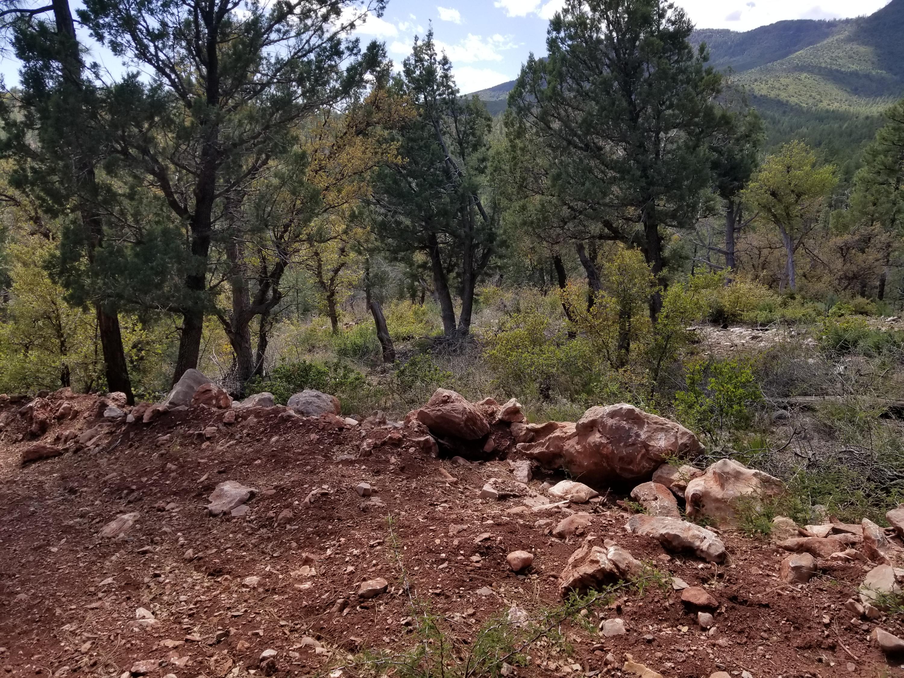 17033 Control Road Payson, AZ 85541 - Photo 14 of 28