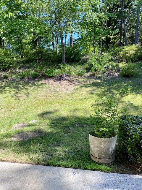 2525 Norris Road, Unit 37 Columbus, GA 31907 - Photo 13 of 14