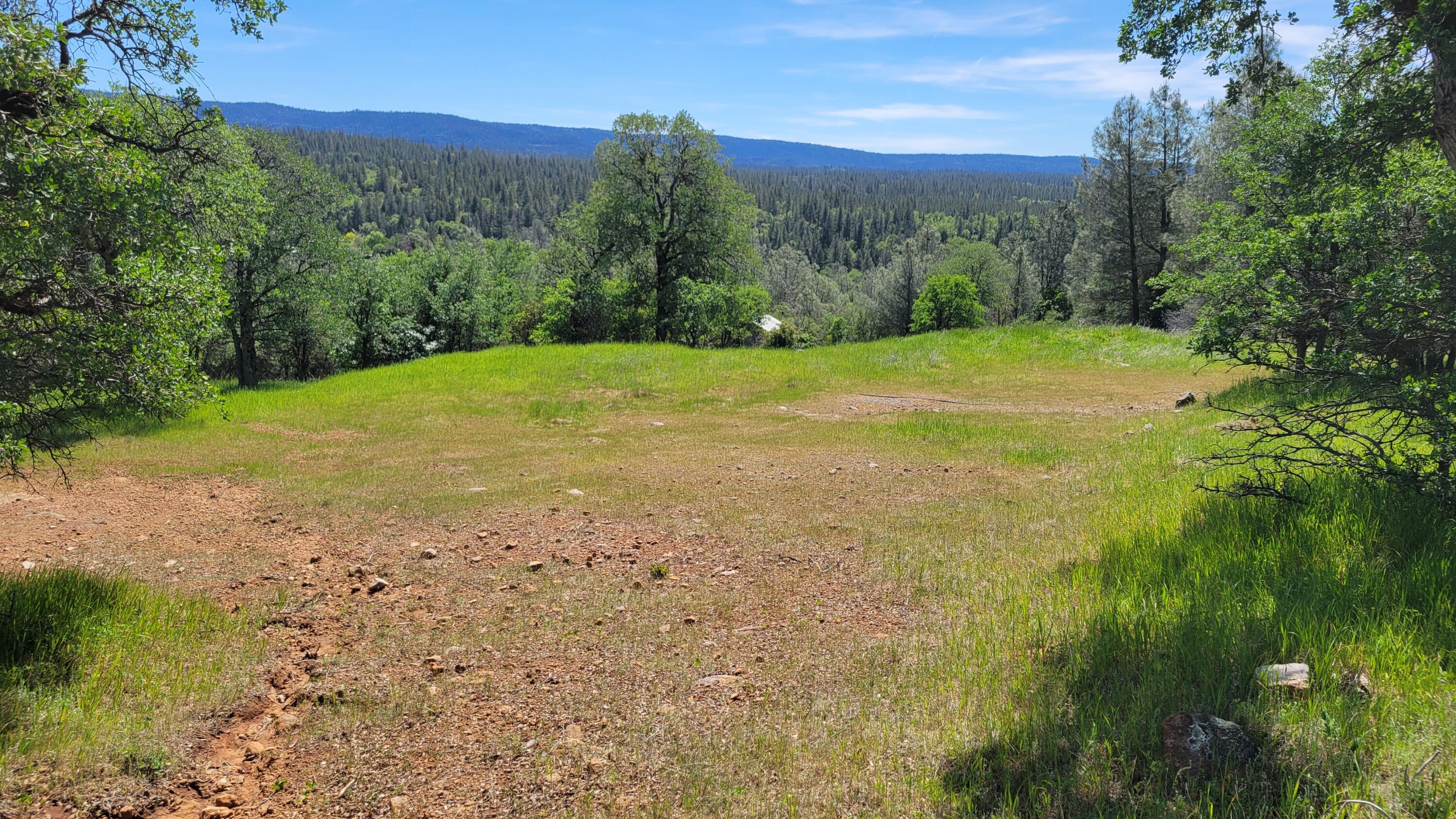 a view of a field with an trees