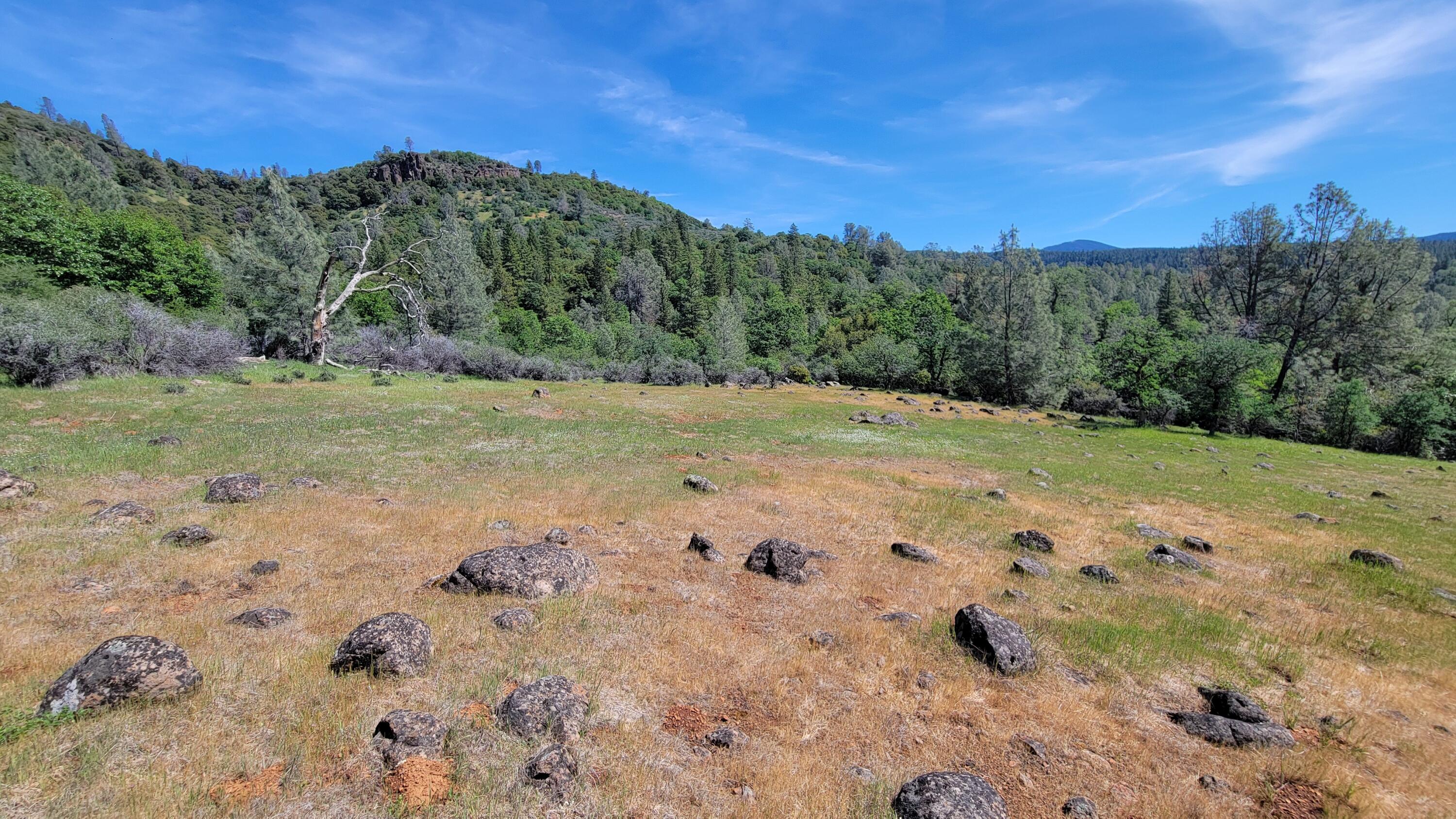 0 Miller Mountain Road Whitmore, CA 96096 - Photo 11 of 23 a view of outdoor space with mountain view