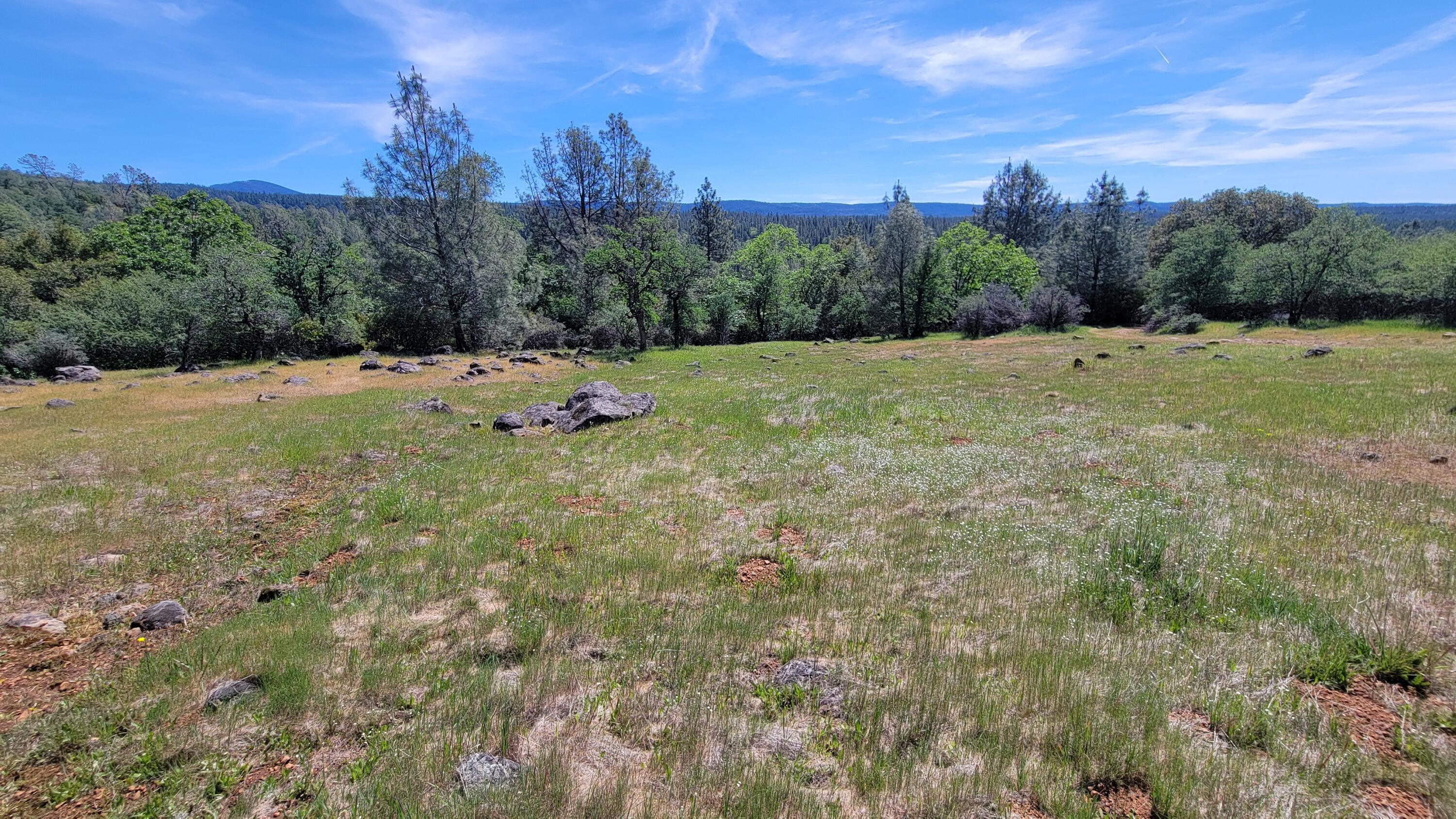 0 Miller Mountain Road Whitmore, CA 96096 - Photo 12 of 23 a view of a field with sky view