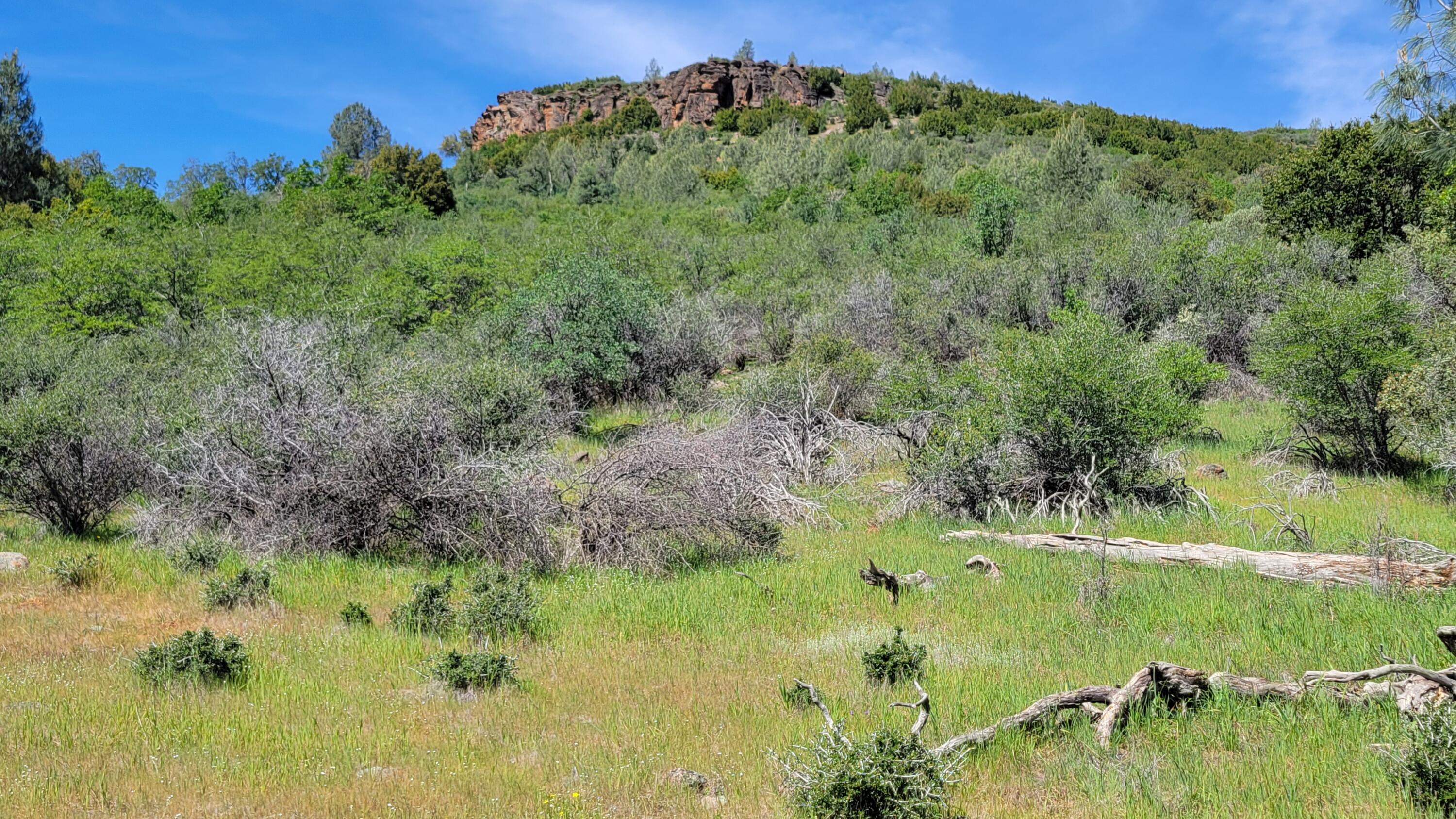 0 Miller Mountain Road Whitmore, CA 96096 - Photo 14 of 23 a view of a lake with a yard