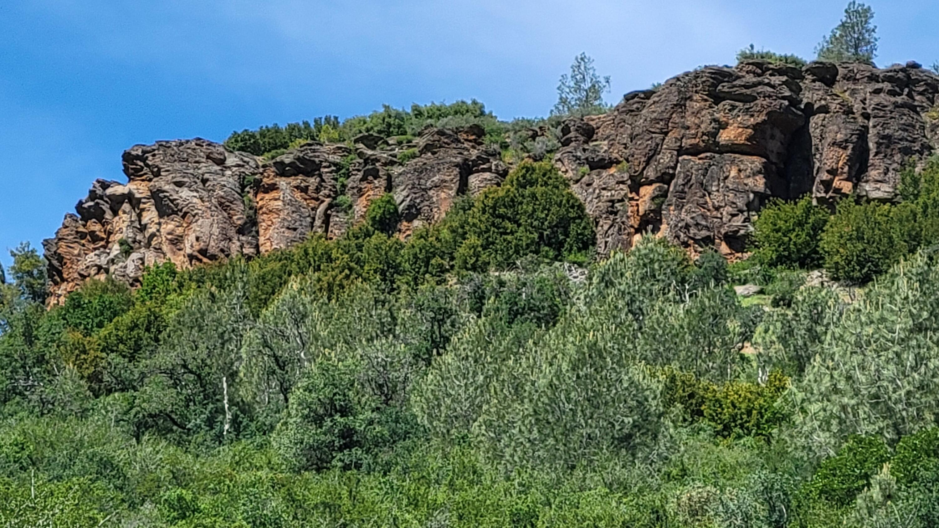 0 Miller Mountain Road Whitmore, CA 96096 - Photo 15 of 23 a view of a large building with a lush green forest