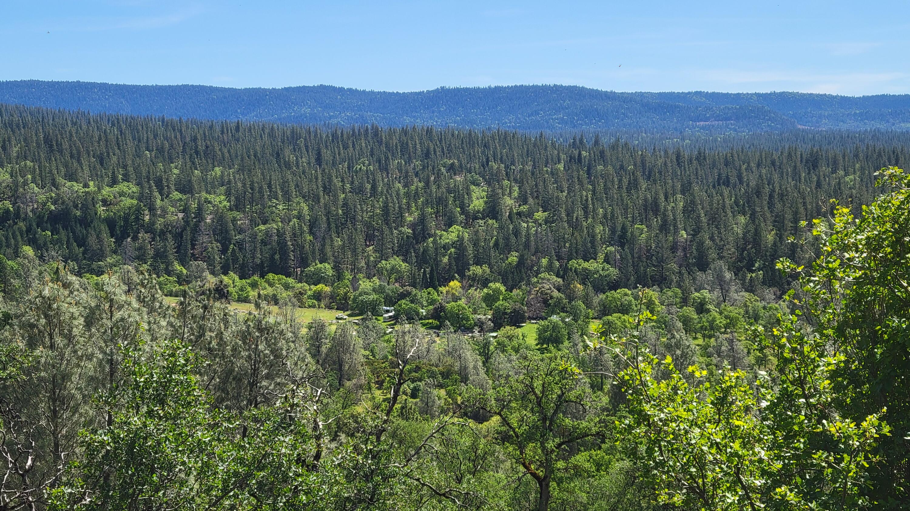 0 Miller Mountain Road Whitmore, CA 96096 - Photo 2 of 23 a view of a lush green hillside and a houses
