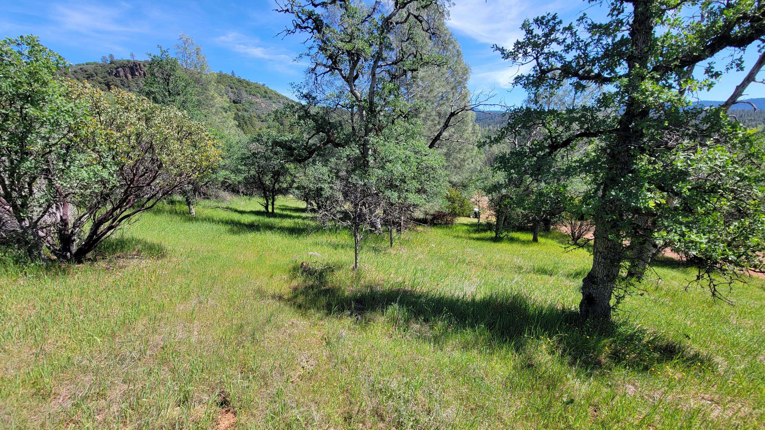 0 Miller Mountain Road Whitmore, CA 96096 - Photo 21 of 23 a view of a garden with a lake
