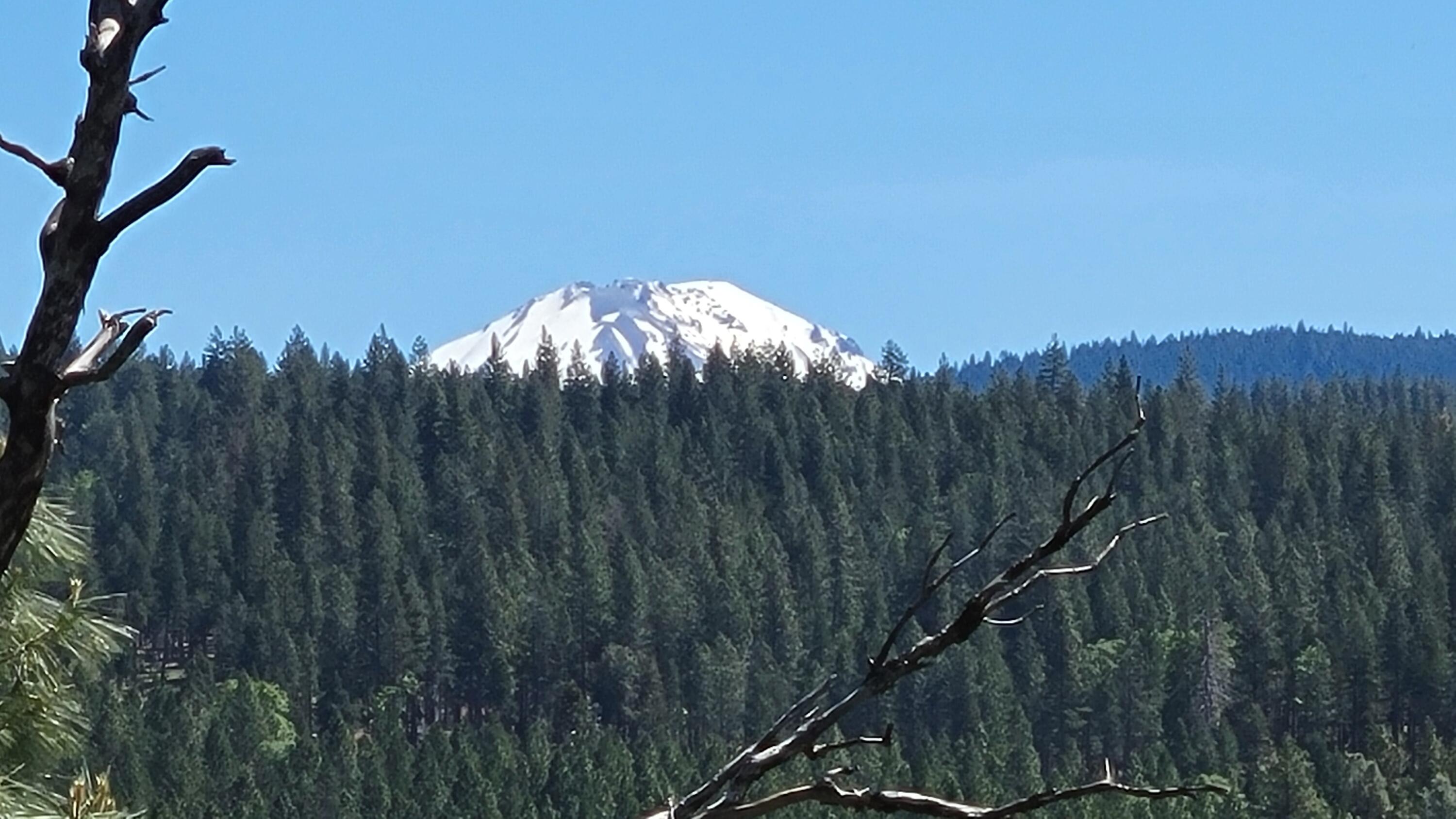 0 Miller Mountain Road Whitmore, CA 96096 - Photo 22 of 23 a view of a yard