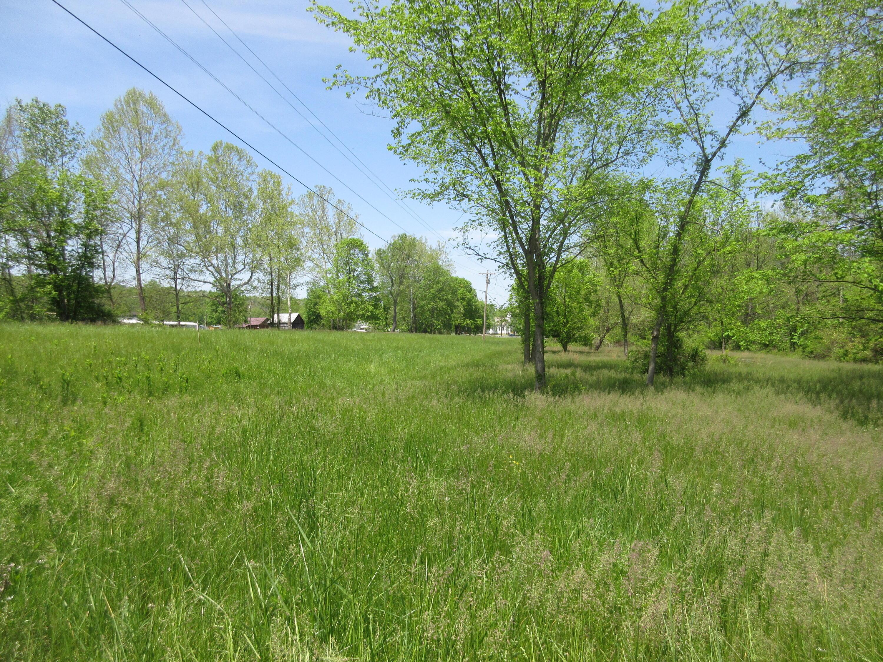 6800 Center Road Philo, OH 43771 - Photo 5 of 29 IMG_9069