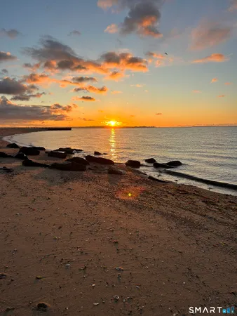 a view of a water fountain with large trees