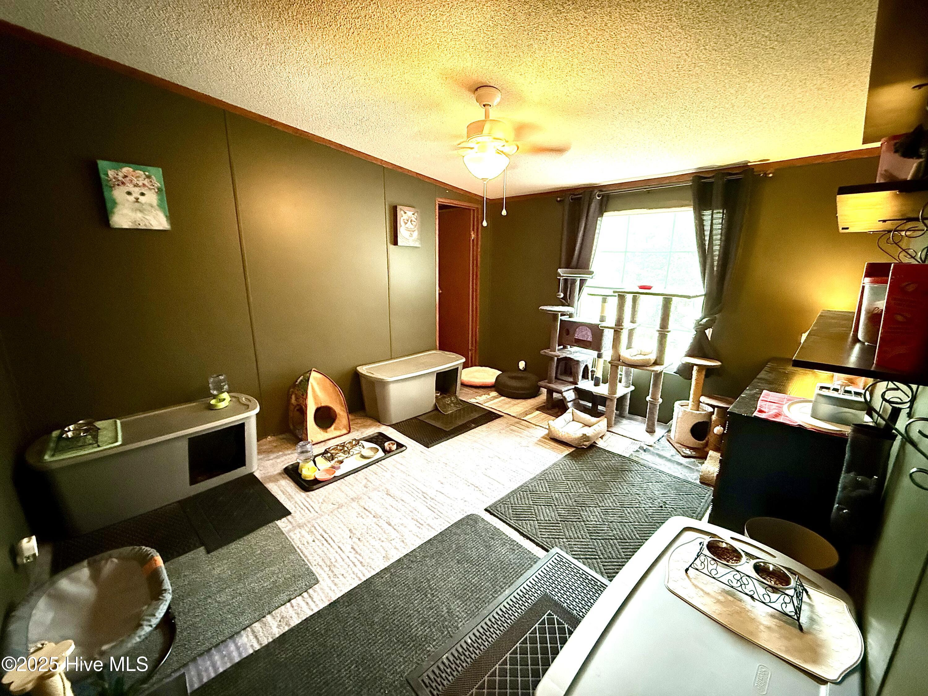 3682 Titan Roberts Road Erwin, NC 28339 - Photo 24 of 51 Bedroom 2 with walk in closet-3682 Titan Roberts Road, Erwin, NC. -