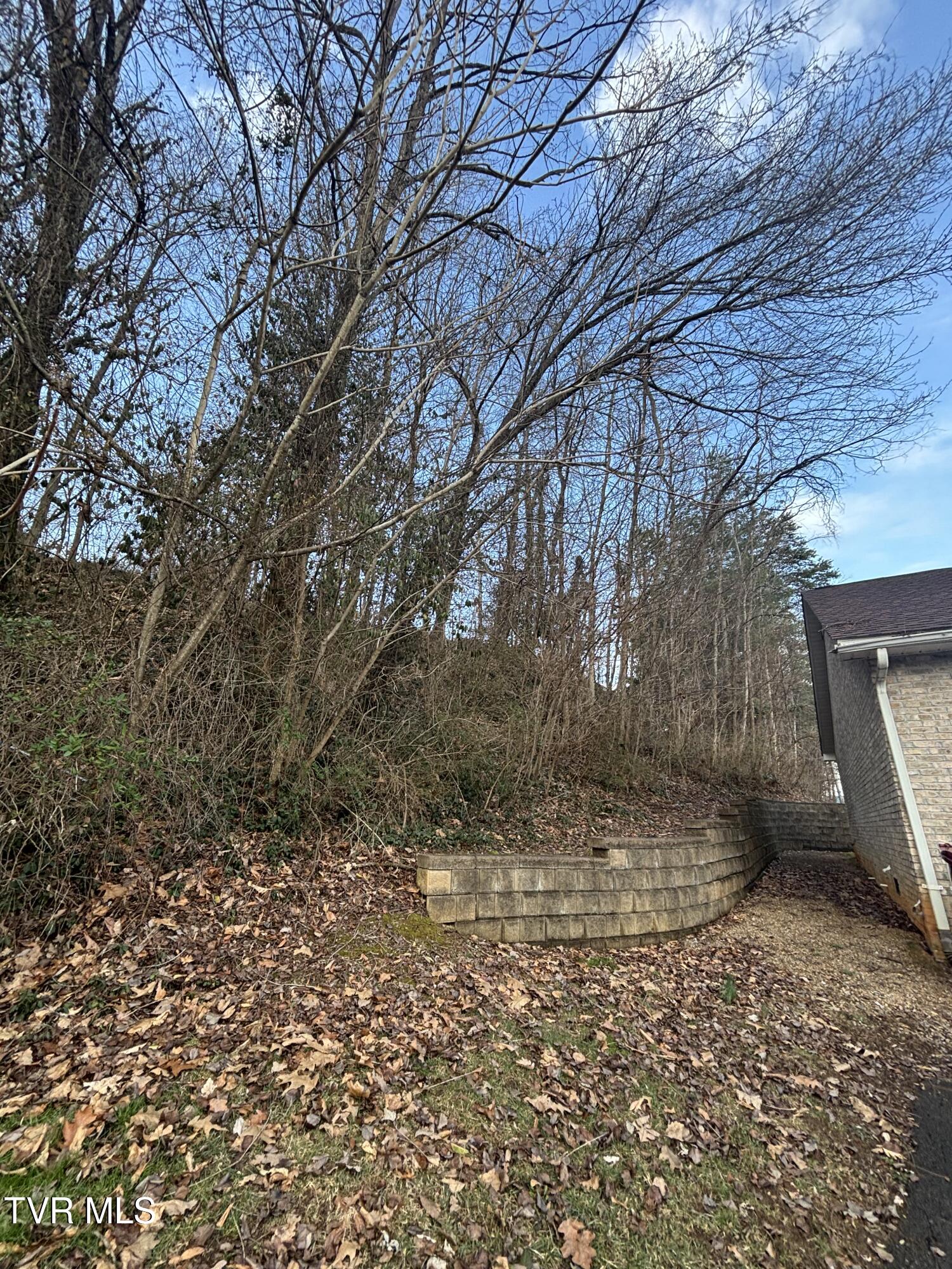 2822 Plymouth Road, Unit 2 Johnson City, TN 37601 - Photo 3 of 27 IMG_1874