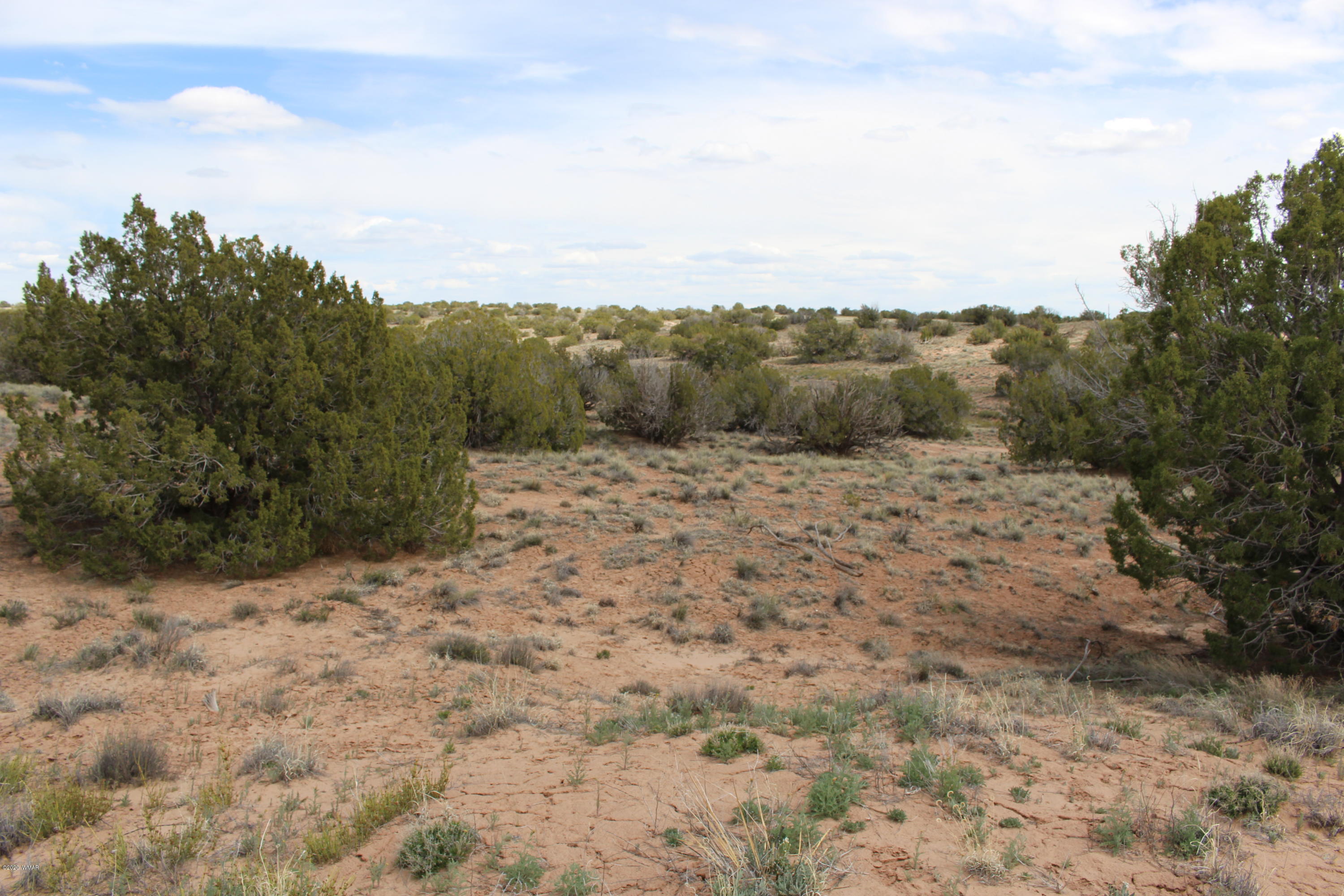 18 T20 R28 Chambers, AZ 86502 - Photo 5 of 21