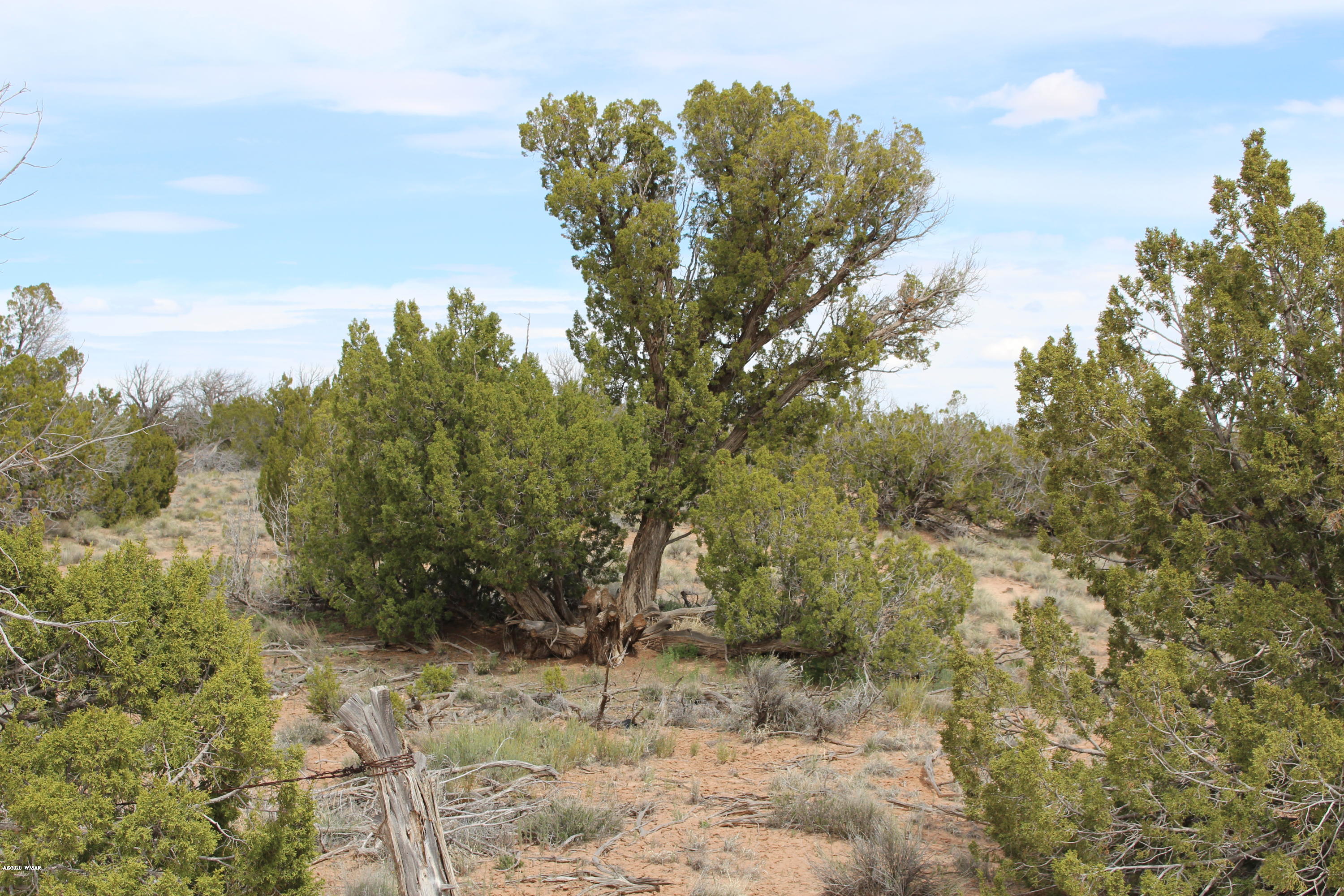 18 T20 R28 Chambers, AZ 86502 - Photo 7 of 21