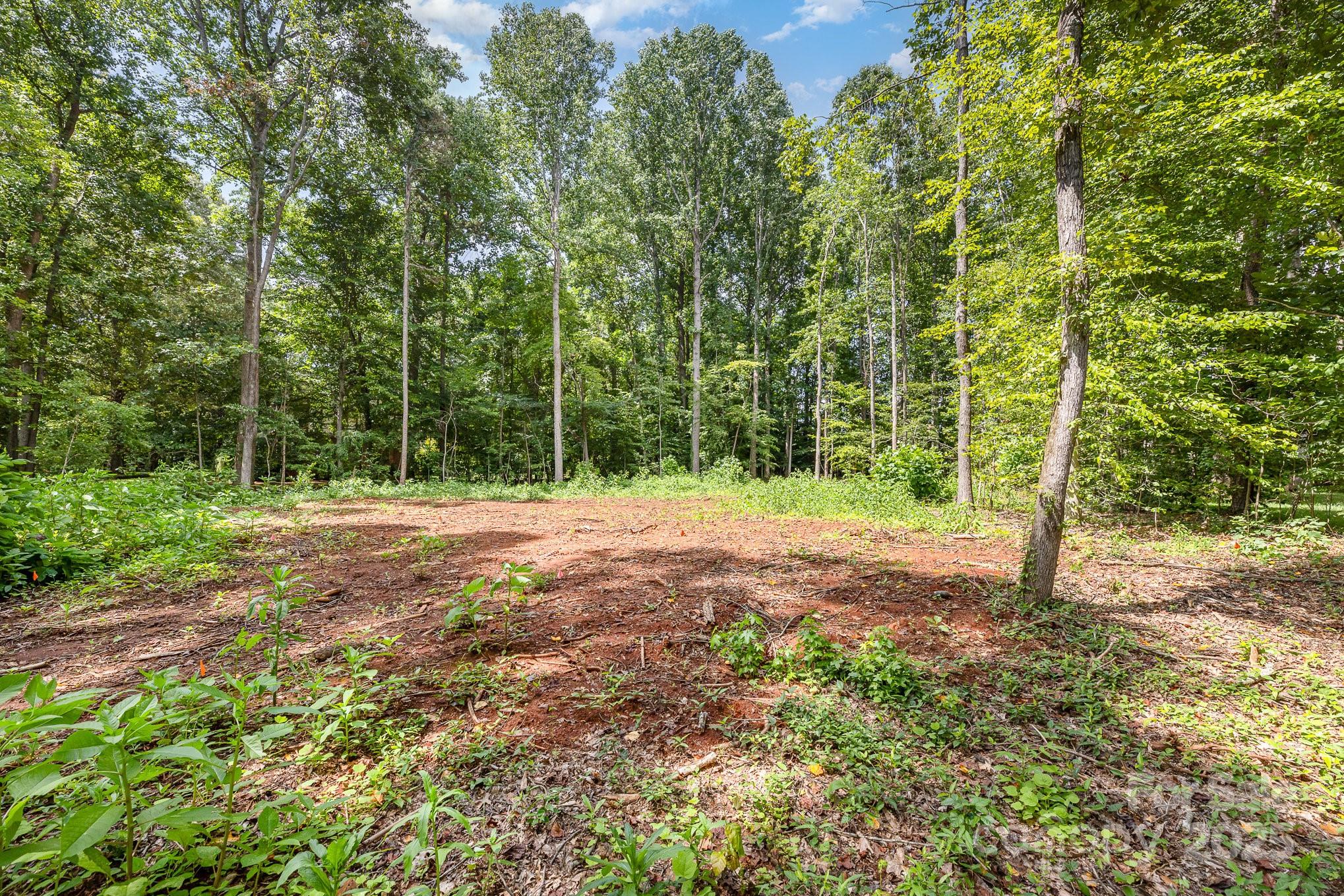 171 Lakeview Road Mocksville, NC 27028 - Photo 2 of 11