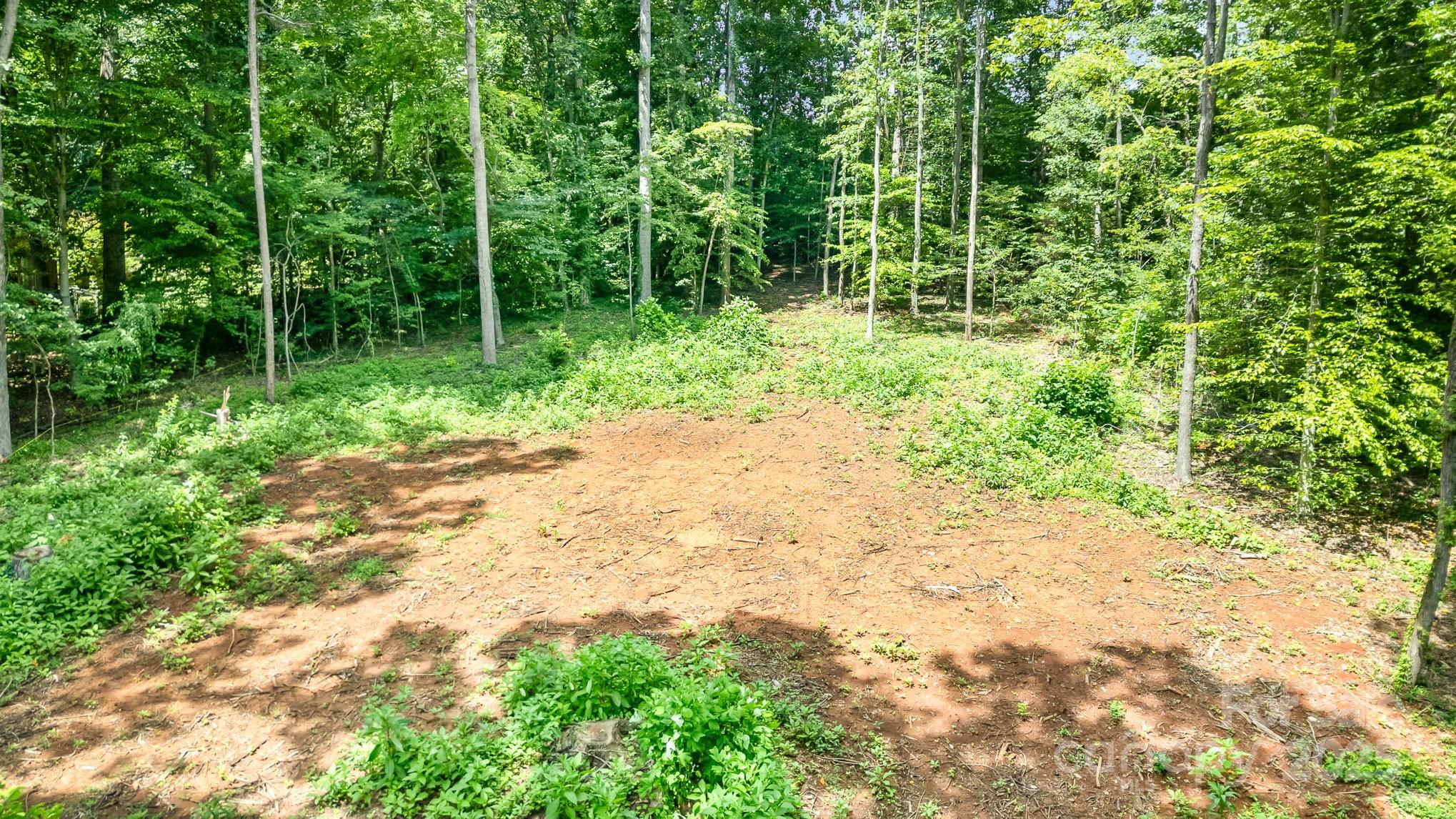 171 Lakeview Road Mocksville, NC 27028 - Photo 4 of 11