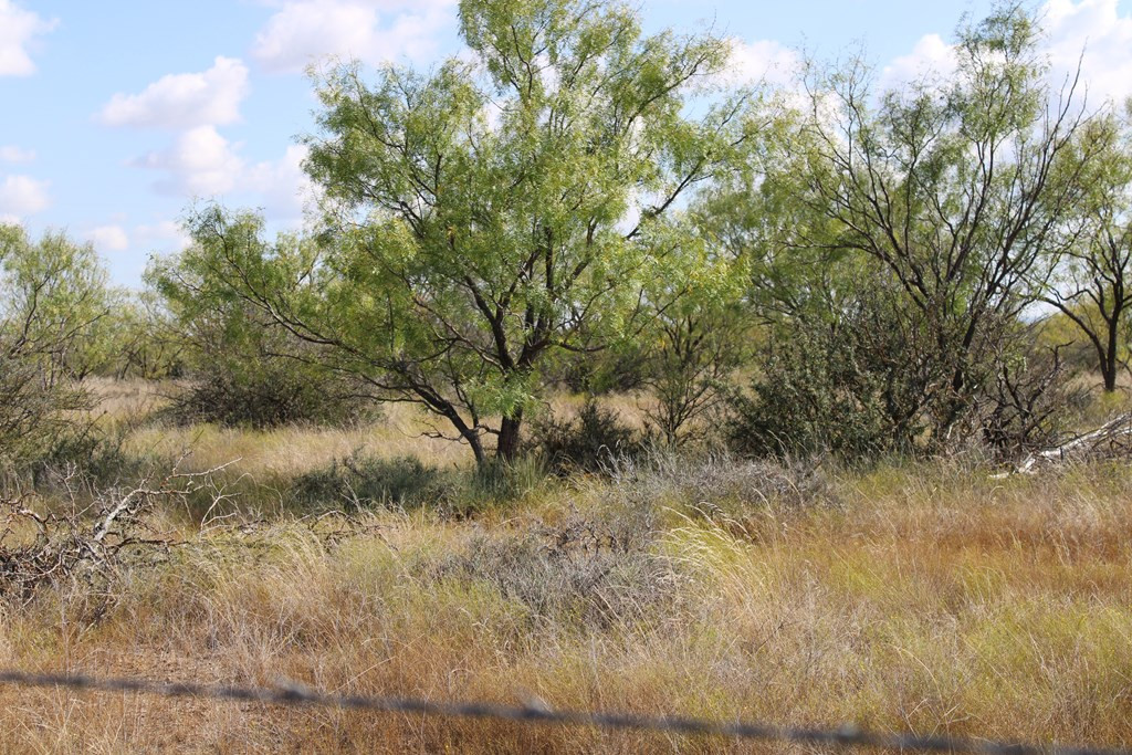 0 County Road Talpa, TX 76882 - Photo 21 of 22 Photo 21