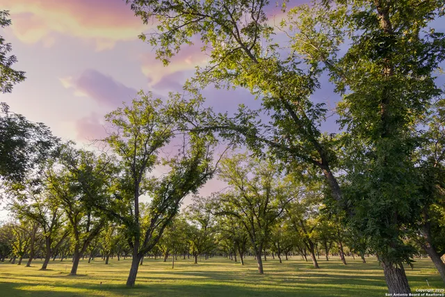 a view of an ocean and beach
