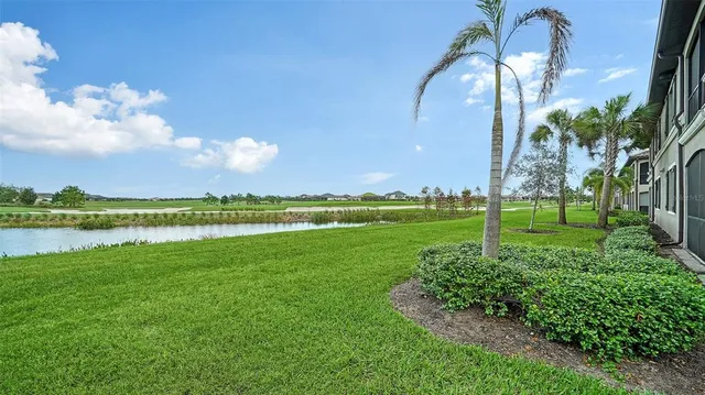 a view of a swimming pool with a yard and palm trees