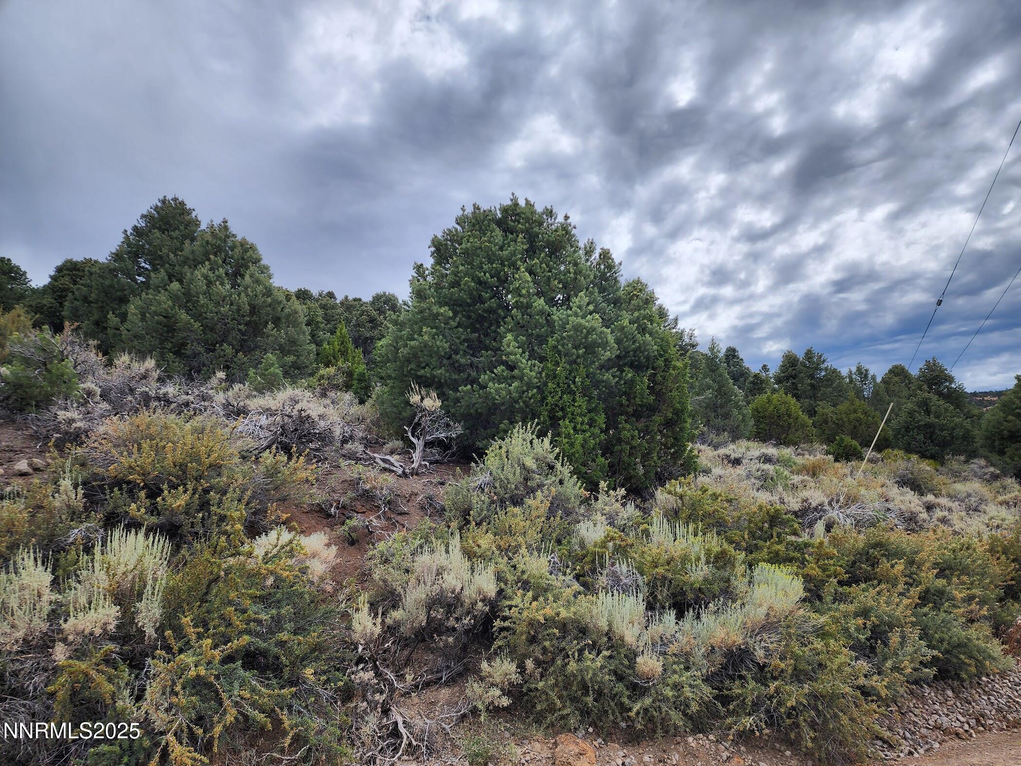 21915 Panhandle Road Reno, NV 89521 - Photo 2 of 3 a view of a big yard with lots of bushes and mountain view
