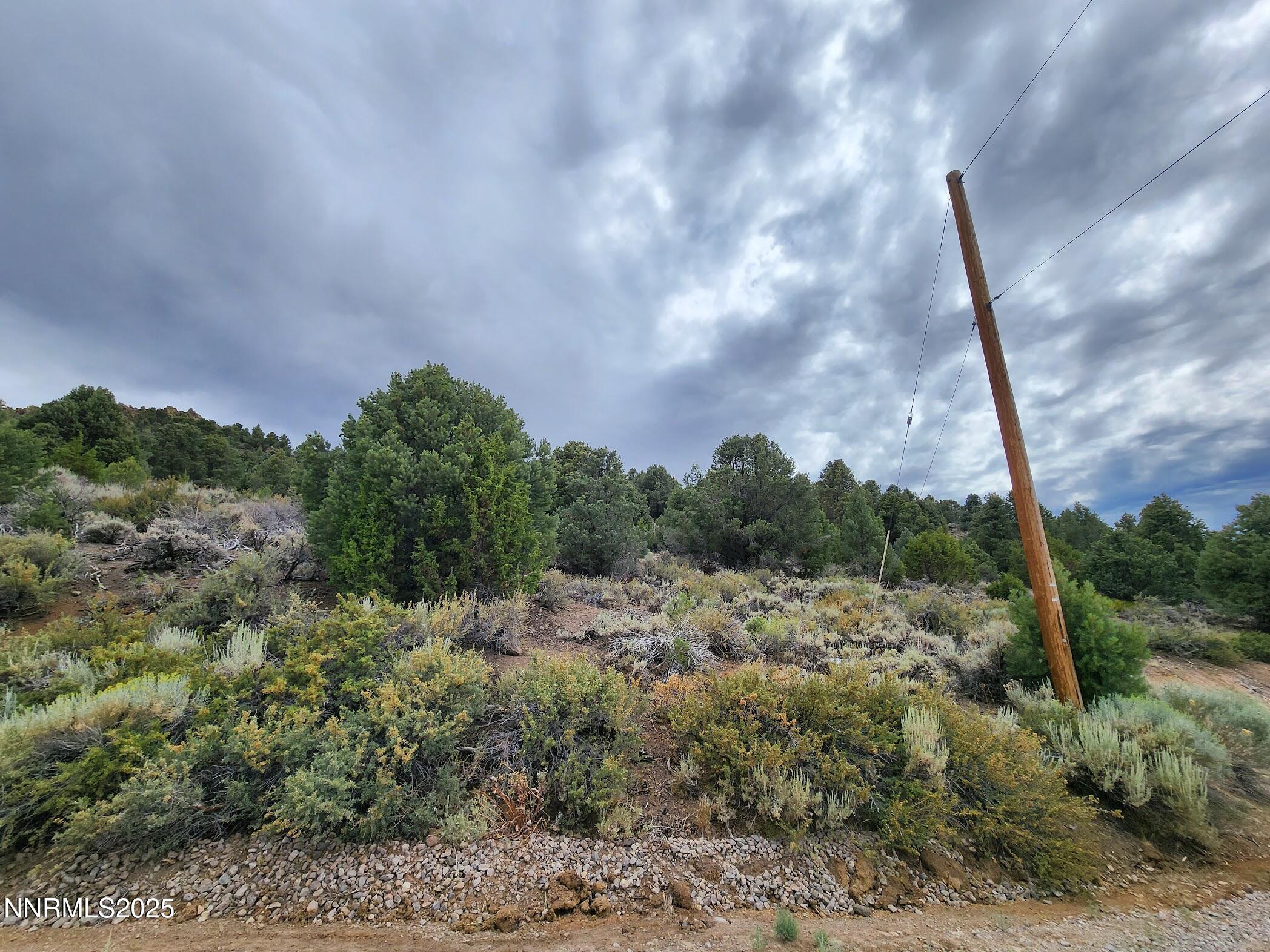 21915 Panhandle Road Reno, NV 89521 - Photo 3 of 3 a view of a field
