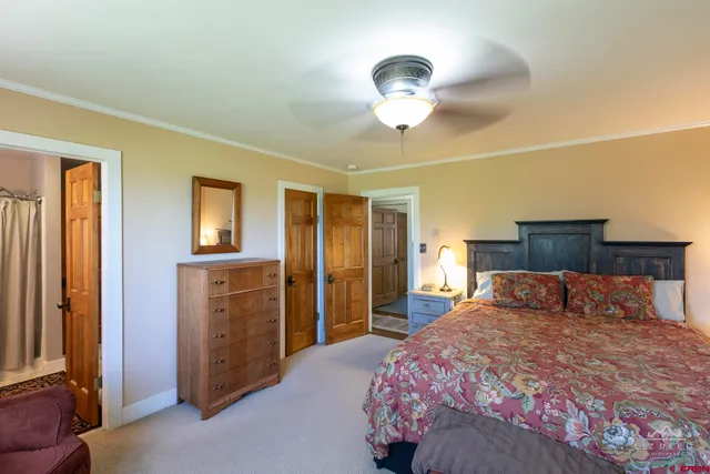 a bedroom with a large bed and a chandelier