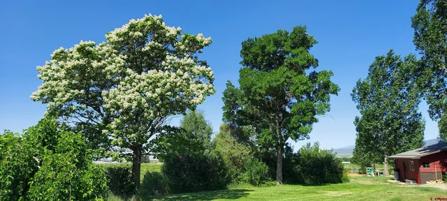 a backyard of a house with lots of green space