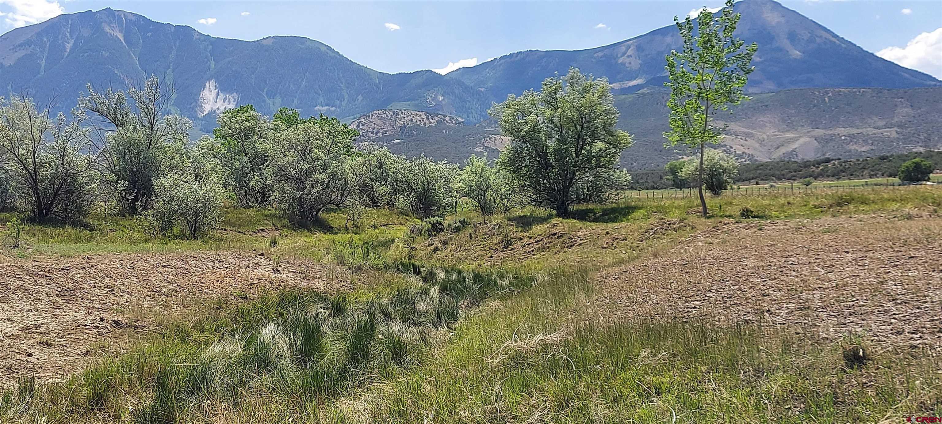 11450 Crawford Road Paonia, CO 81428 - Photo 35 of 41 a view of a yard with a house