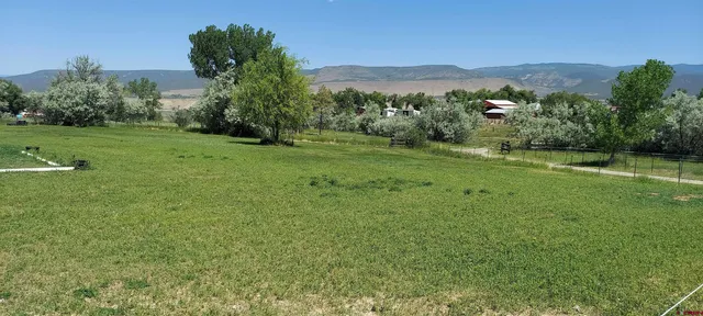 a view of a grassy field with an trees