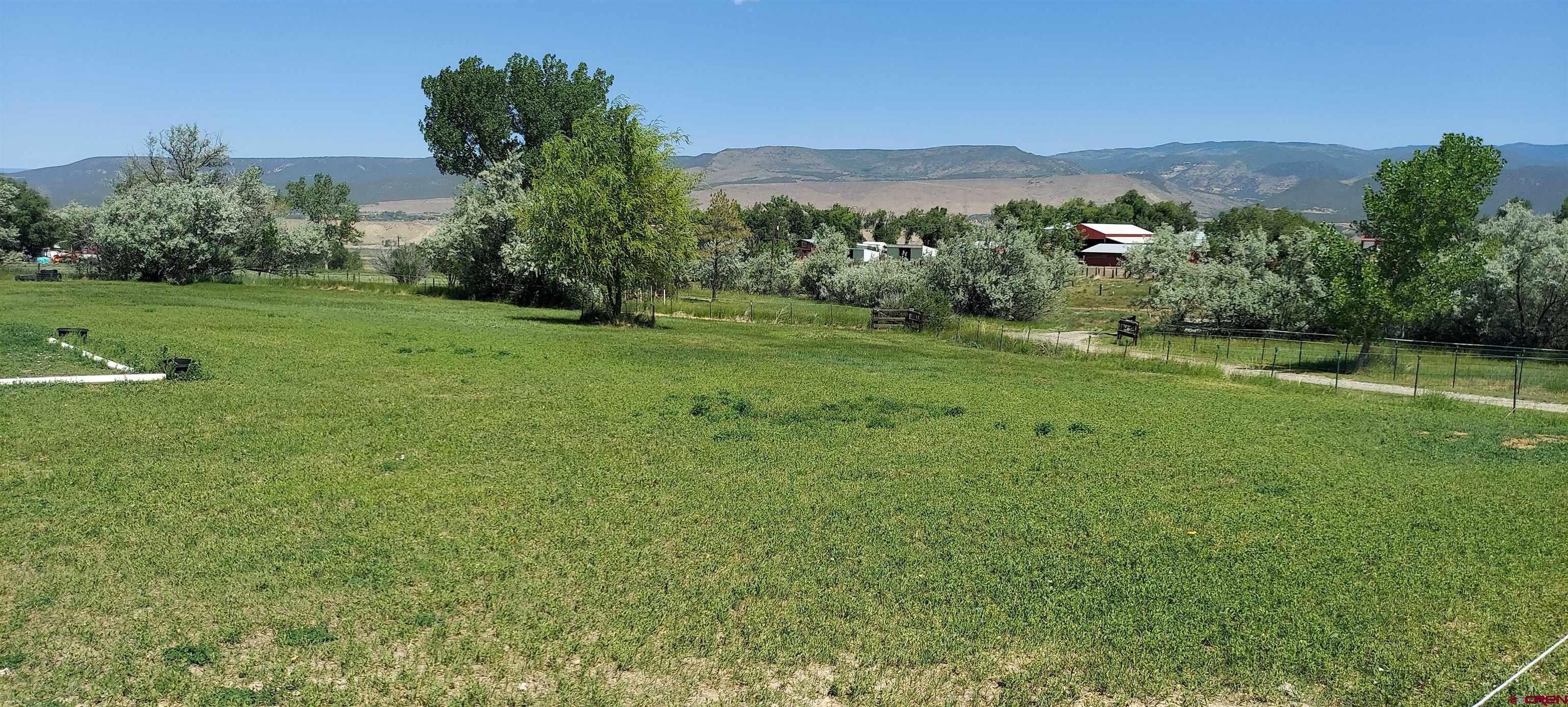 11450 Crawford Road Paonia, CO 81428 - Photo 36 of 41 a view of a grassy field with an trees