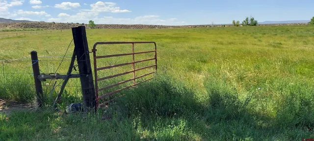 a view of an ocean from a balcony