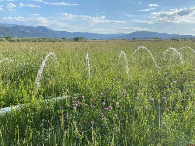 a view of an outdoor space and a lake view