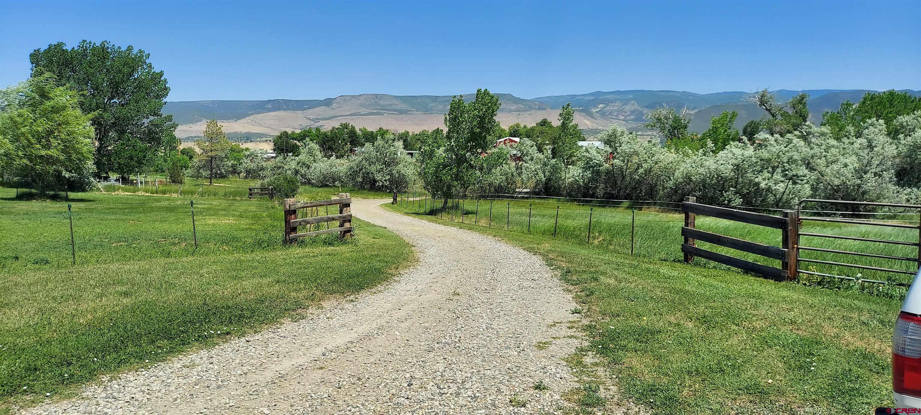 11450 Crawford Road Paonia, CO 81428 - Photo 4 of 41 a view of a park with large trees