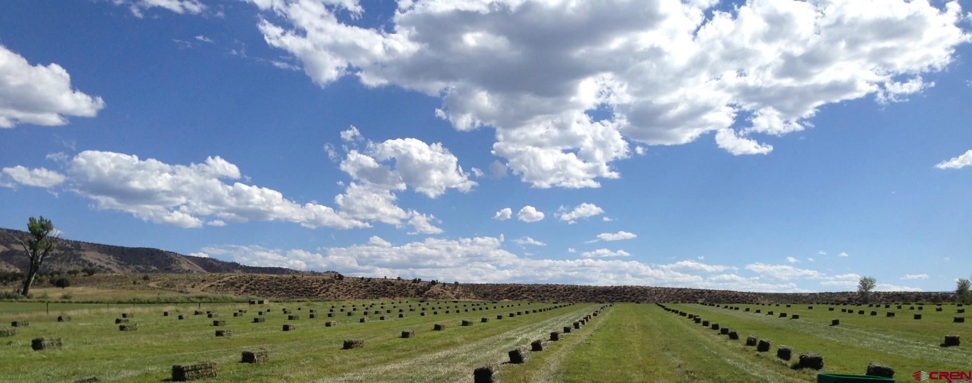 11450 Crawford Road Paonia, CO 81428 - Photo 5 of 41 a view of a city