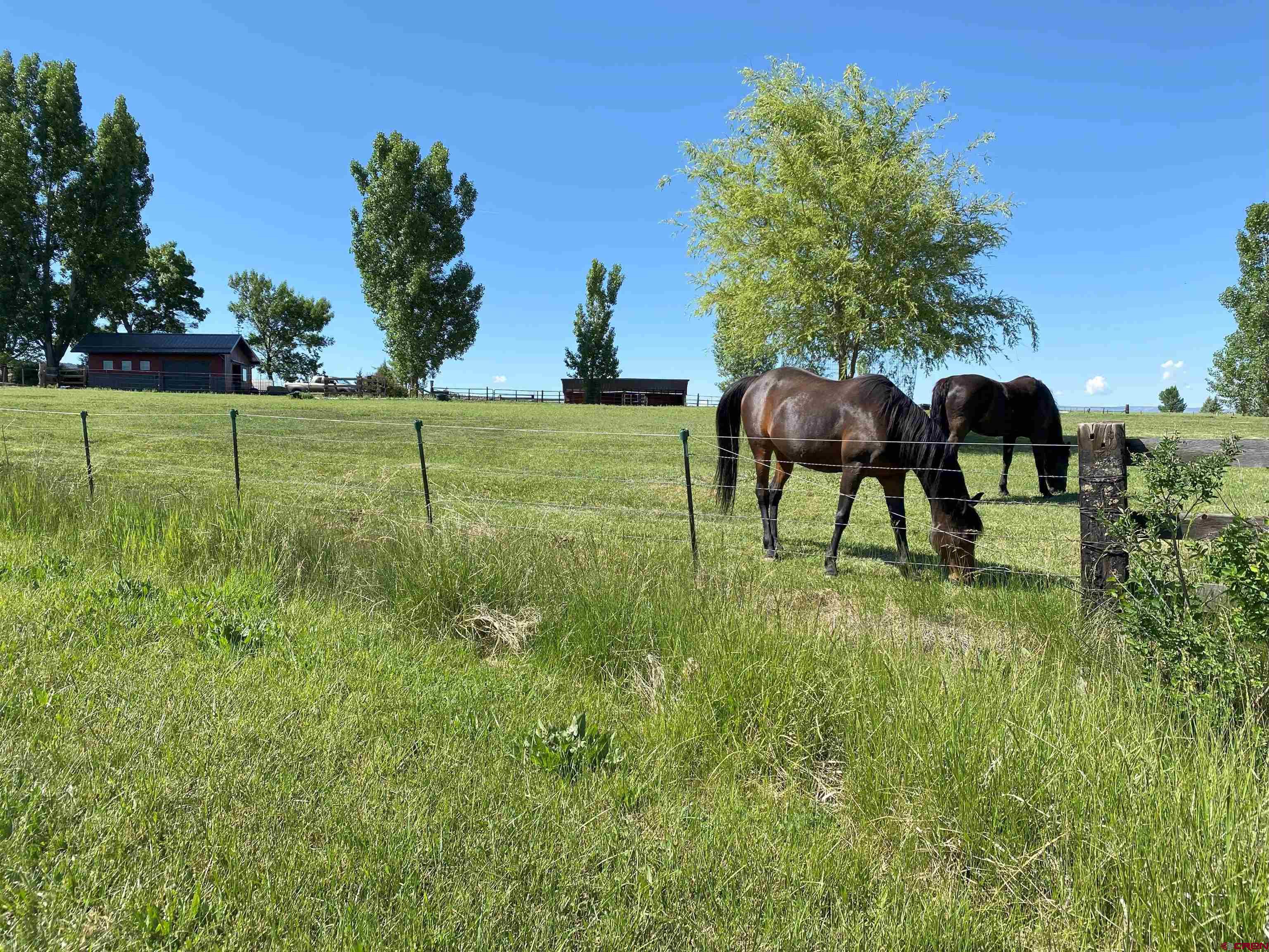 11450 Crawford Road Paonia, CO 81428 - Photo 6 of 41 a view of yard with green space
