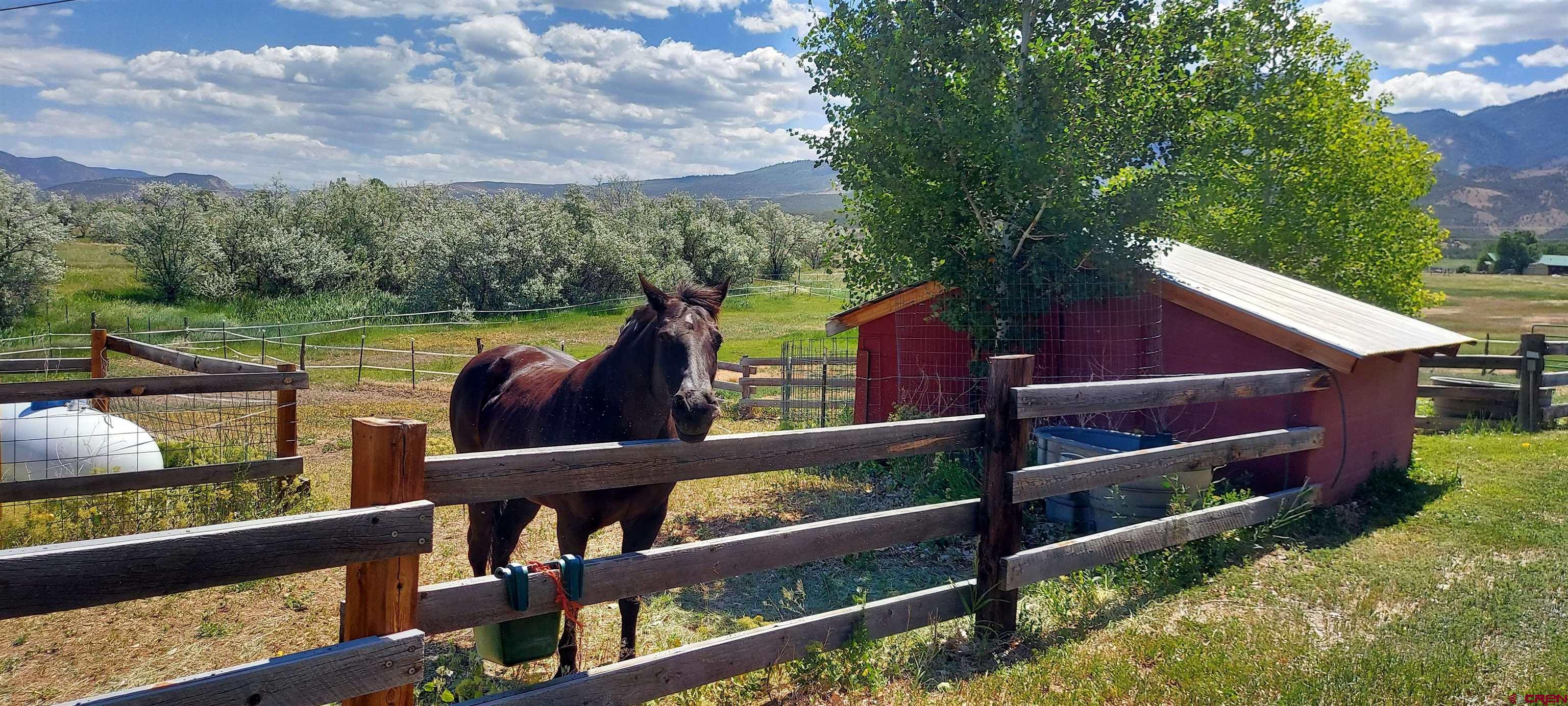 11450 Crawford Road Paonia, CO 81428 - Photo 7 of 41 a view of a lake from a balcony