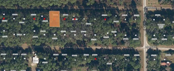 $8,414 | 423 Dogwood Avenue, Georgetown, FL 32139