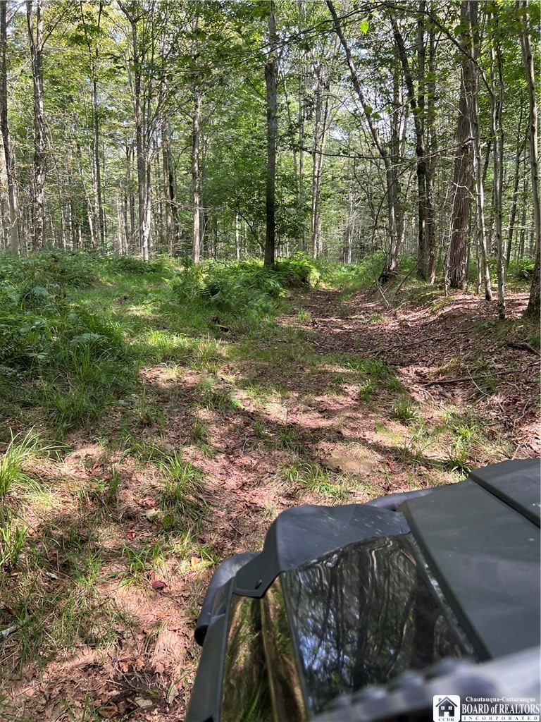 Mead Road North Jamestown, NY 14701 - Photo 19 of 42 Gallery Image 19
