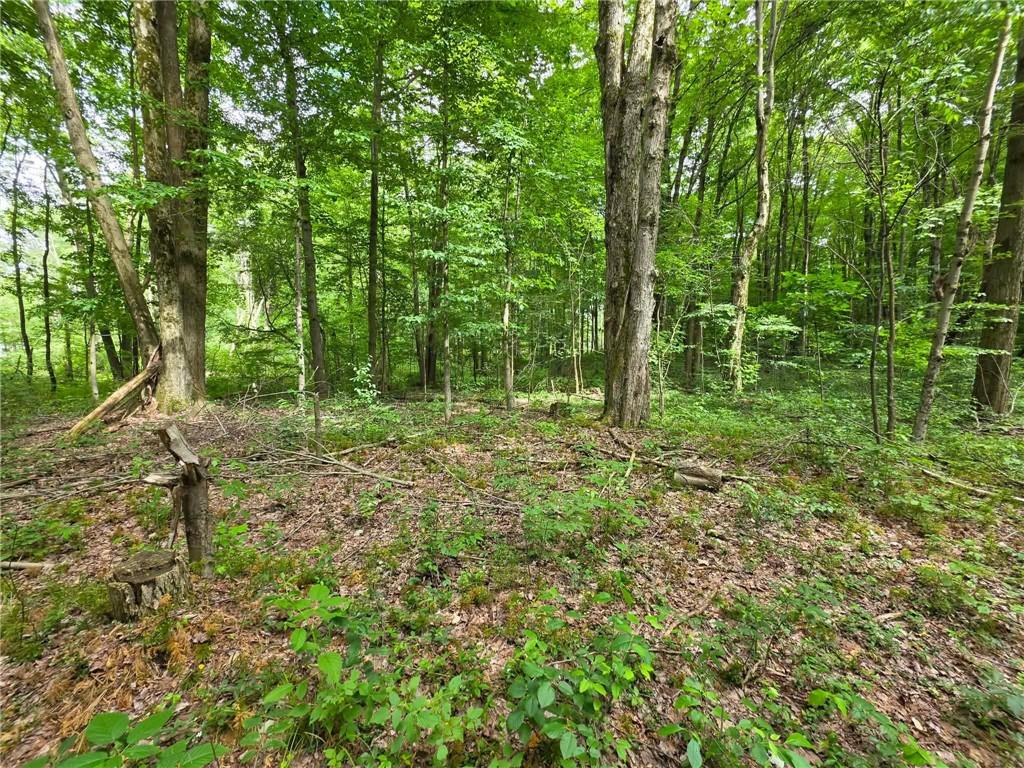 0 Fox Mine Road Jackson Center, PA 16133 - Photo 2 of 5